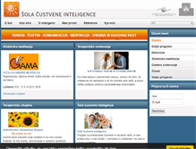 Tablet Screenshot of custvena-inteligenca.org